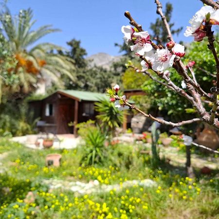 Levantes Garden House - Keratokampos Exterior photo