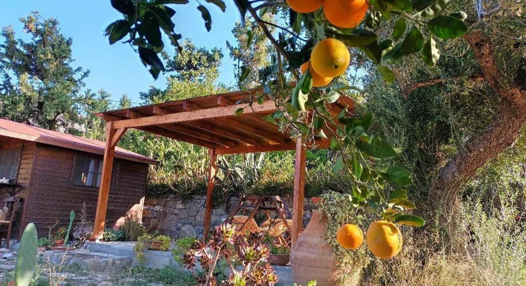 Levantes Garden House - Keratokampos Exterior photo